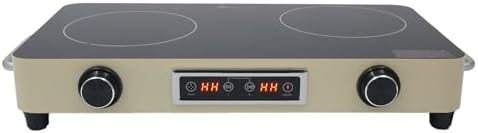 2200W Double Burner Electric Cooktop - 2-Burner Induction Stove with 99-Minute Timer, Child Safety Lock, 9 Power Settings, Portable Electric Stove for Kitchen, RV, Apartment Cooking (Silver)
