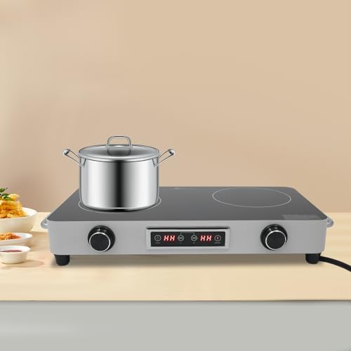 2200W Double Burner Electric Cooktop, 2-Burner Induction Stove with 99-Min Timer & Child Lock, 9 Power Settings, Portable Electric Stove for Kitchen, RV, Apartment Cooking (Silver)