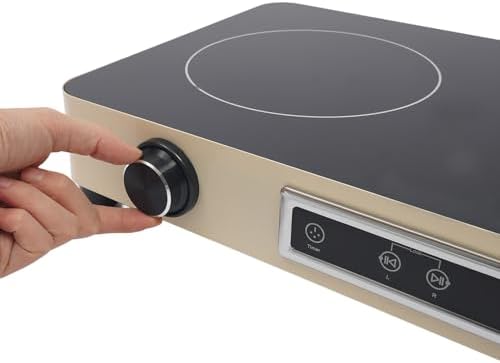 2200W Double Burner Electric Cooktop - 2-Burner Induction Stove with 99-Minute Timer, Child Safety Lock, 9 Power Settings, Portable Electric Stove for Kitchen, RV, Apartment Cooking (Silver)