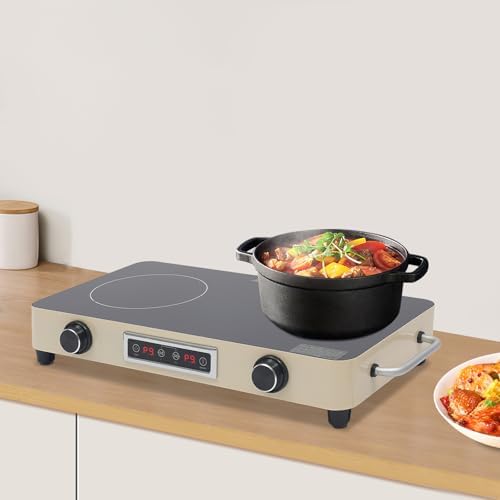 2200W Double Burner Electric Cooktop - 2-Burner Induction Stove with 99-Minute Timer, Child Safety Lock, 9 Power Settings, Portable Electric Stove for Kitchen, RV, Apartment Cooking (Silver)