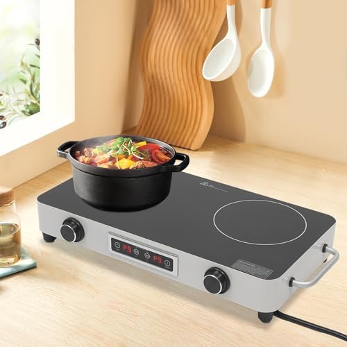 2200W Double Burner Electric Cooktop, 2-Burner Induction Stove with 99-Min Timer & Child Lock, 9 Power Settings, Portable Electric Stove for Kitchen, RV, Apartment Cooking (Silver)