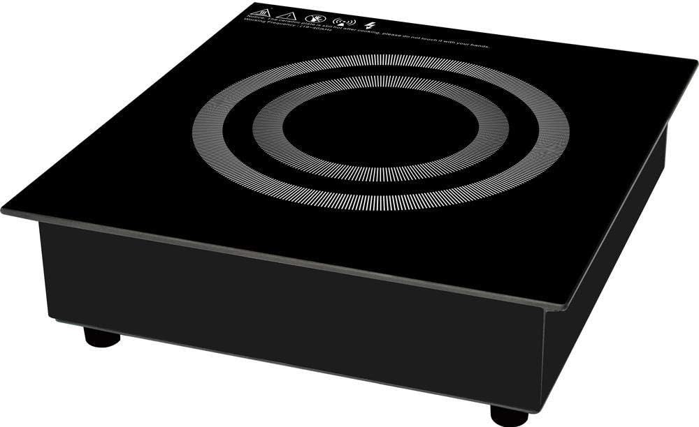 SPT SR-65AR 2600W Commercial Built-in Induction range
