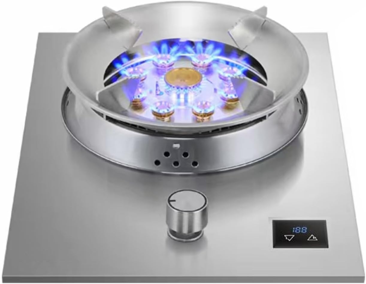Gas Stove 1 Burner,Portable Gas Stove,Gas/LP Gas Conversion Stove,Stainless Steel Indoor Regulators,with Flameout Protection,for Home Kitchen(LPG)