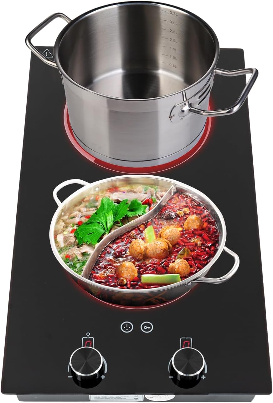 Electric Cooktop 2 Burner,110-120V 2100W Electric Stove Top Knob Control w/9 Power Levels,Kids Lock & Timer,Hot Surface Indicator,Double Induction Cooktop