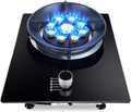 Gas Stove with 1 Burner,5.2KW Kitchen Counter Top Stove,Gas/LP Gas Conversion Stove,Tempered Glass Cast Iron Pot Rack,with Flameout Protection,for Home Kitchen(LPG)