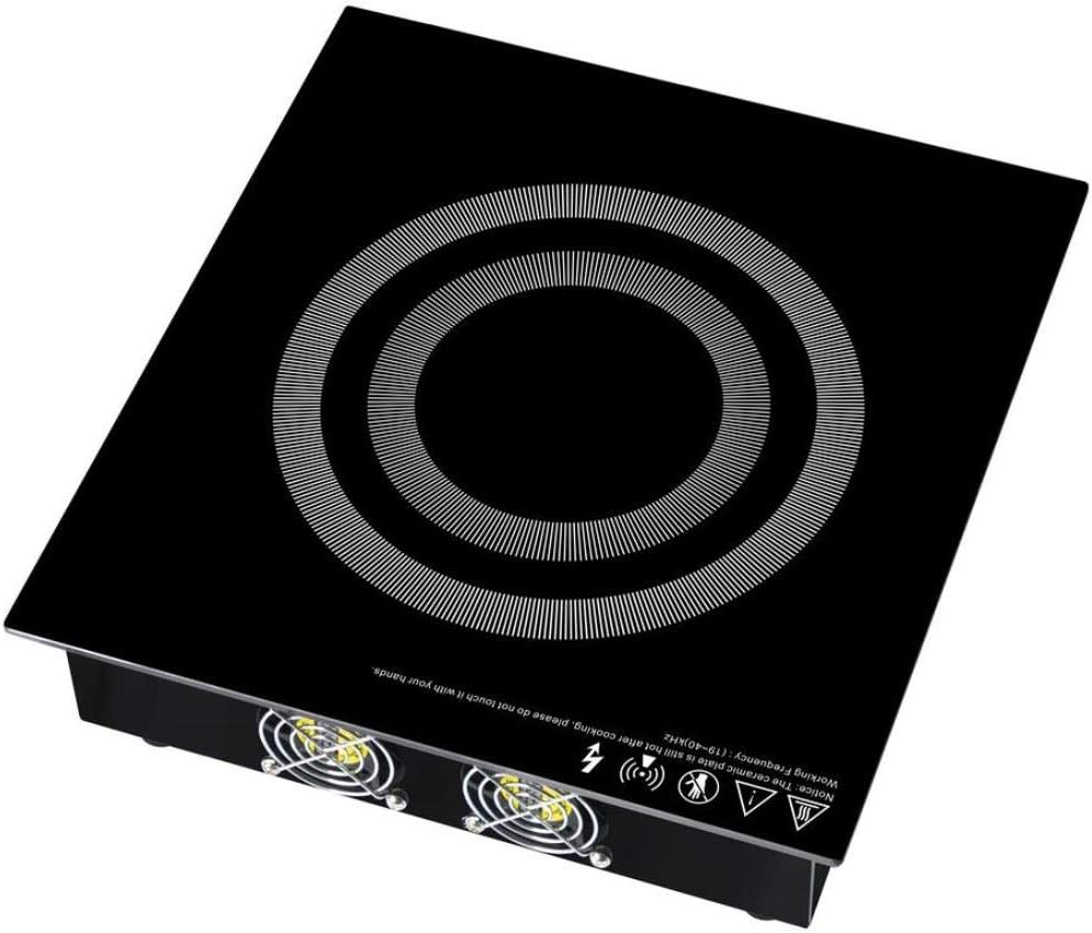 SPT SR-65AR 2600W Commercial Built-in Induction range