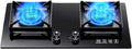 Portable Gas Stove with 2 Burners, 5.2KW, Black Tempered Glass Cooking Top, with Flame Failsafe and Cast Iron Pot Rack (Size : NG)