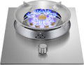 Gas Stove 1 Burner,5.2KW Natural Gas/Liquefied Gas Conversion Stove,Household Stainless Steel Single Burner Gas Stove Embedded and Tabletop Installation(LPG)