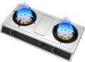 Propane Stove 2 Burners Portable Propane Stove,24566.4BTU High Power Stainless Steel Gas Cooktop for RV Apartment and Outdoor Kitchen (Color : NG, Size : Style 1)