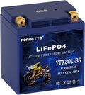 Lithium Motorcycle Battery, Forgetyo YTX30L-BS LiFePO4 Battery, 12V 12AH 850A ATV, UTV, Jet Ski, 4 Wheeler and Lawn Mower Battery