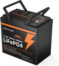 12V 100Ah Mini LiFePO4 Lithium Battery,15000+ Deep Cycles 1280Wh LiFePO4 Battery for RV, Marine/Trolling Motors, Solar System,Camping,Lawn Mowers,Home Backup Power,(100A Smart BMS)