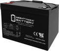 ML100-12 - 12 Volt 100 AH, Internal Thread (INT) Terminal, Rechargeable SLA AGM Battery, 1 Count (Pack of 1)