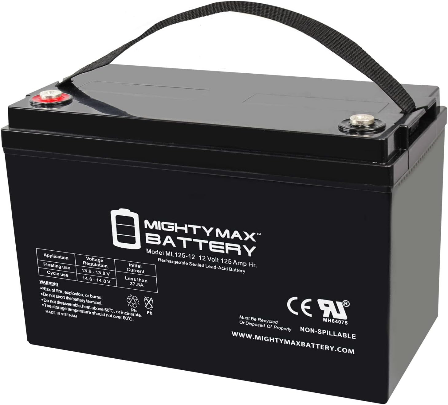 ML125-12 - 12 Volt 125 AH, Internal Thread (INT) Terminal, Rechargeable SLA AGM Battery