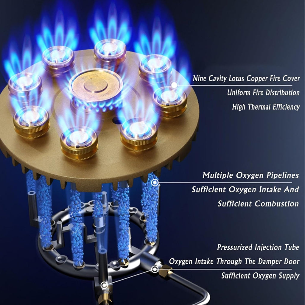 Propane Stove 2 Burners Portable Propane Stove,24566.4BTU High Power Stainless Steel Gas Cooktop for RV Outdoor Kitchen and Apartment (Color : LPG, Size : Style 1)