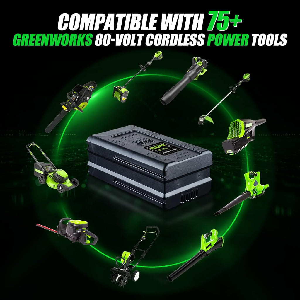 FERRYBOAT 5.0Ah 80V GBA80200 Replacement for Greenworks 80V Battery GBA80200 GBA80250 GBA80400 GBA80500 Compatible with Greenworks 80V Max Series Cordless Power Tools Two Packs