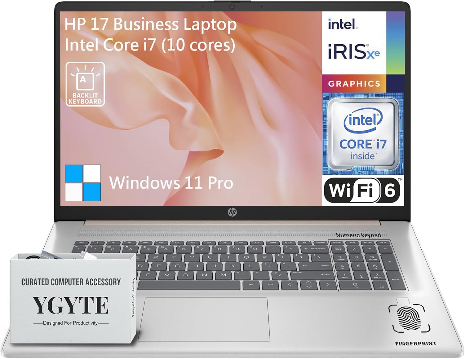 HP 17 Touchscreen Laptop Computer, 17.3 Inch HD+ Touch Screen Business Laptop PC, Intel Core i7, 64GB RAM 1TB SSD, Windows 11 Pro, 10 Key Backlit Keyboard, Fingerprint, Rose Gold