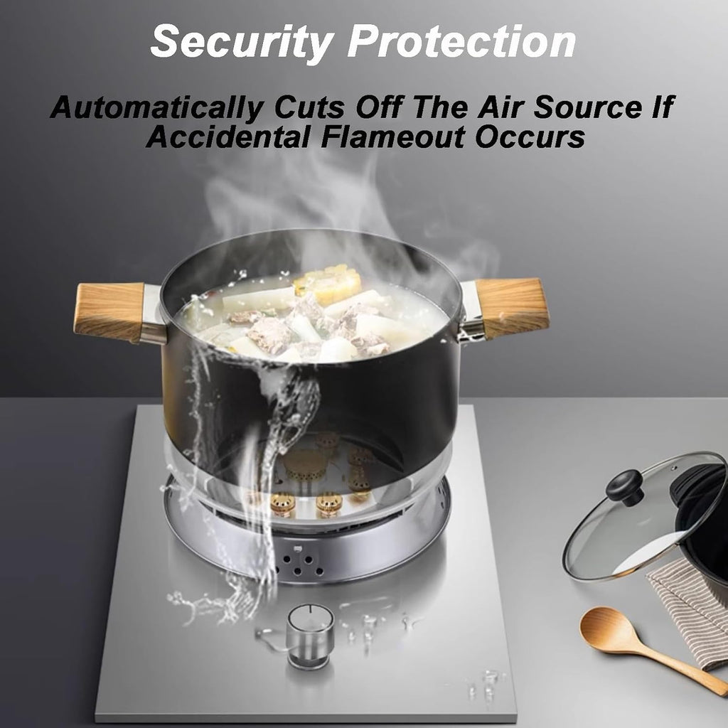 Gas Cooker,Stainless Steel Dual-Purpose gas Stove,Single-Burner,Suitable for Camping Restaurants Home Use(NG)