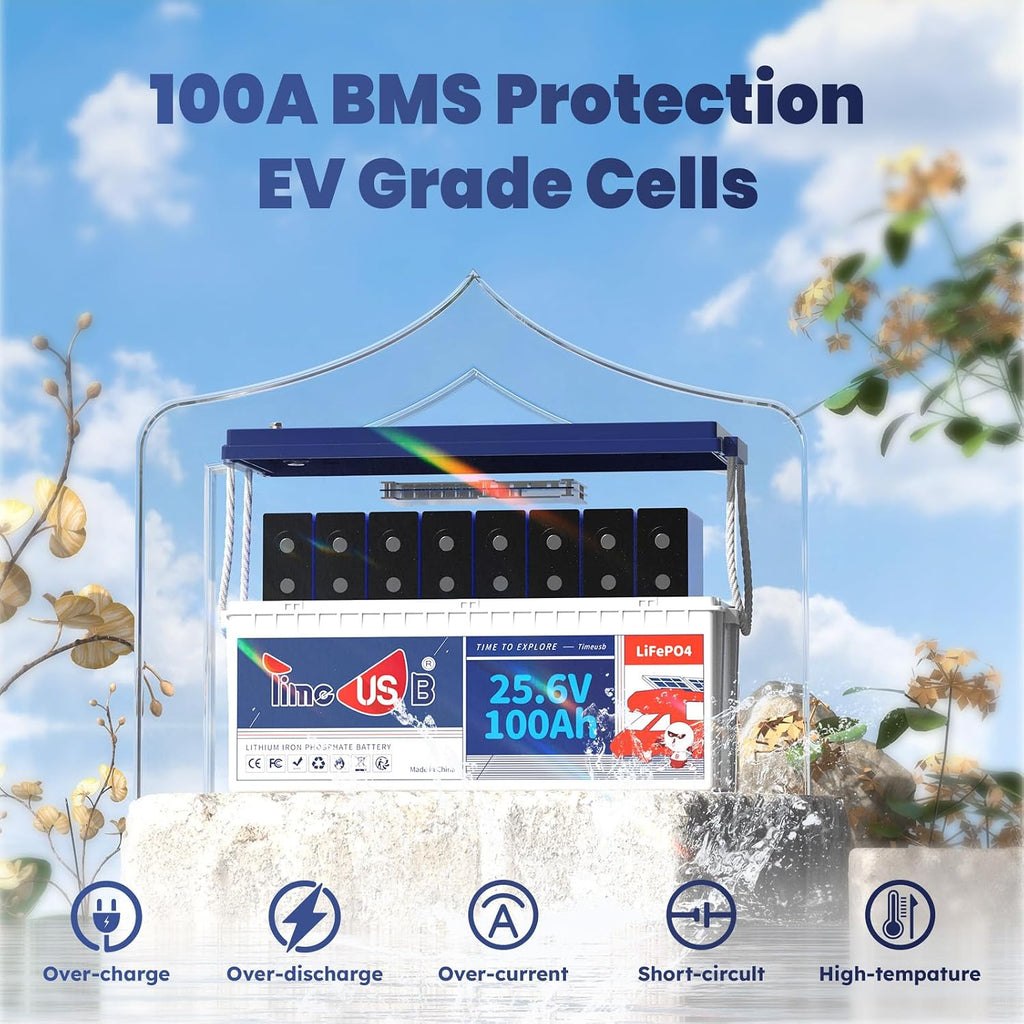 Timeusb 24V 100Ah LiFePO4 Battery, 2.56kWh Lithium Battery, Built-in 100A BMS, 10-Year Lifetime with Grade A LiFePO4 Cells, Perfect for RV, Camper, Home Energy Storage, Van, Off-Grid, etc