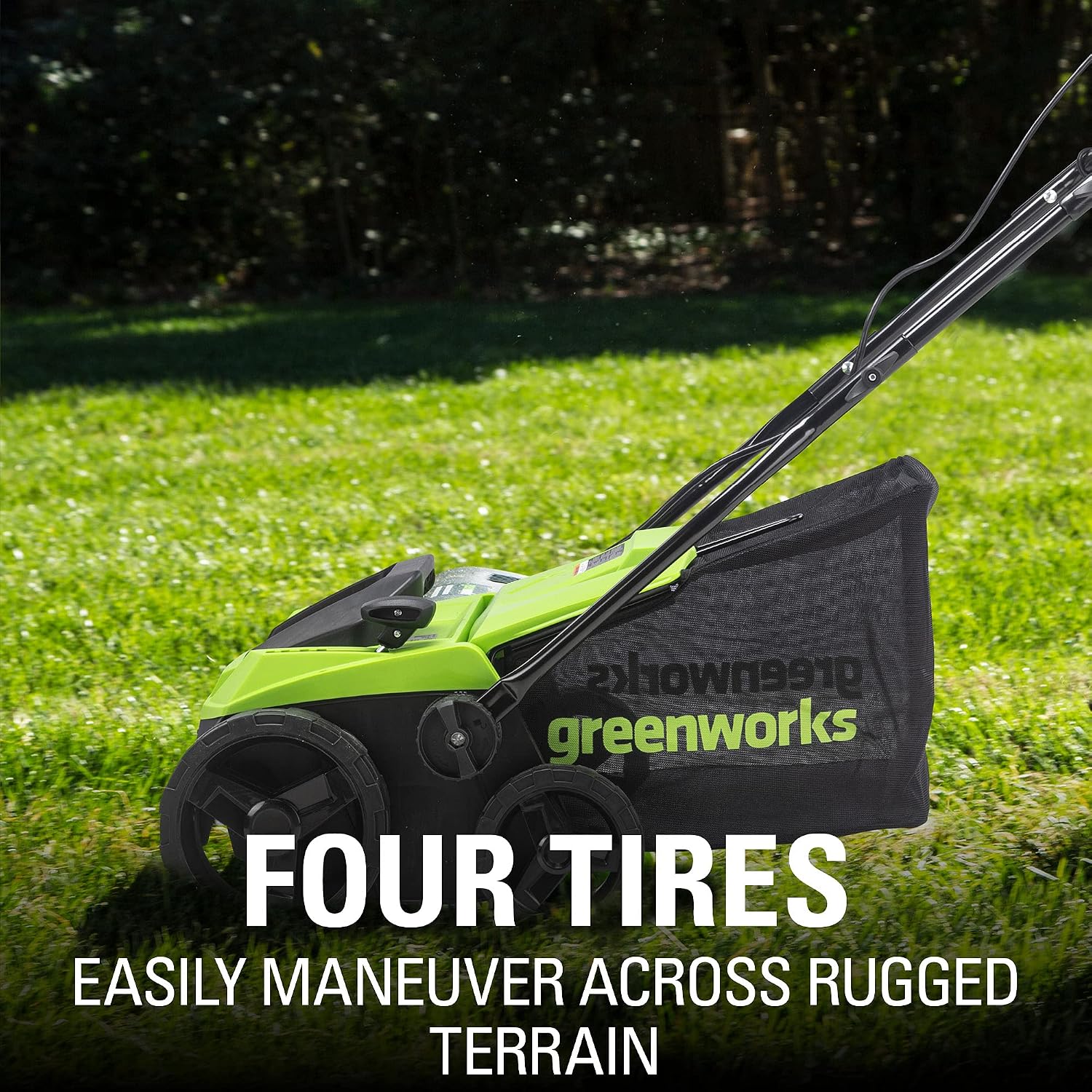 Greenworks 13 Amp 14-Inch Corded Dethatcher / Scarifier, DT13B00