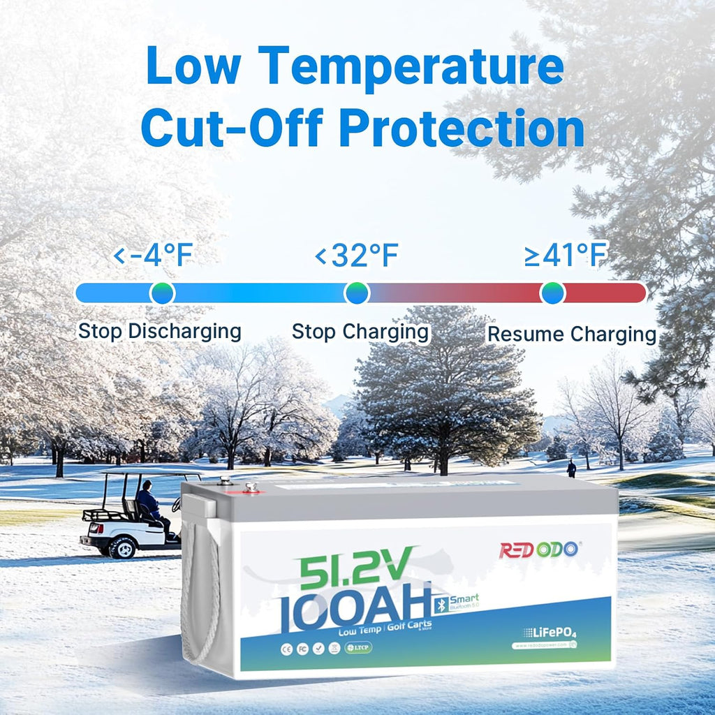 Redodo 48V 100Ah Lithium Golf Cart Battery, Smart 200A BMS, Bluetooth & Low-Temp Protection, 4000+ Deep Cycles LiFePO4 Battery, Max 20.48kW Power Output, Perfect for Golf Carts