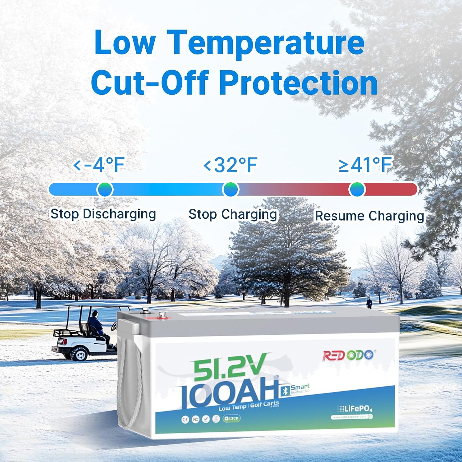 Redodo 48V 100Ah Lithium Golf Cart Battery, Smart 200A BMS, Bluetooth & Low-Temp Protection, 4000+ Deep Cycles LiFePO4 Battery, Max 20.48kW Power Output, Perfect for Golf Carts