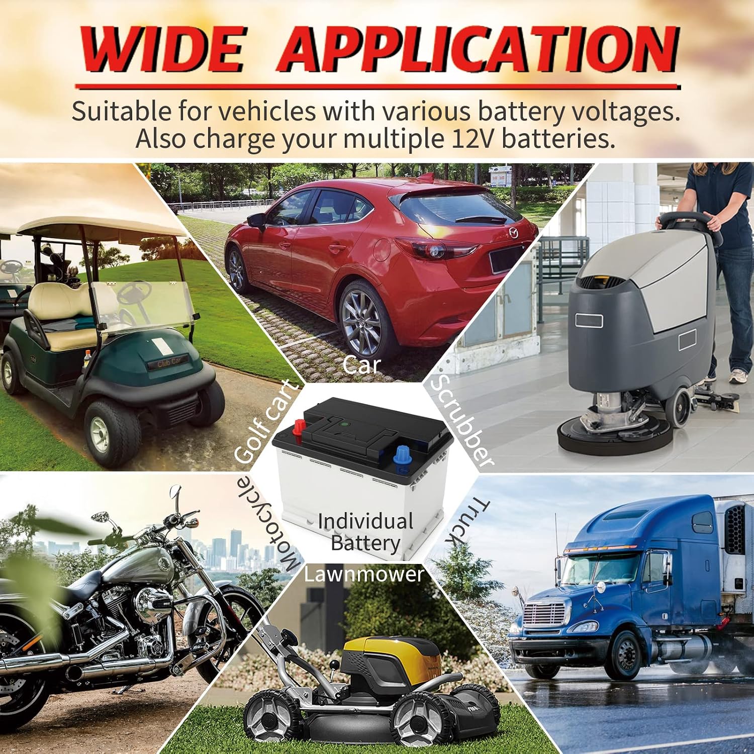 C15 Multiple Voltage Battery Charger 6V 8V 12V 24V Lead-Acid LiFePO4 Lithium Batteries, 15 A Automotive Car Battery Charger and Desulfator for Golf Cart Motorcycle Truck Lawn Mower