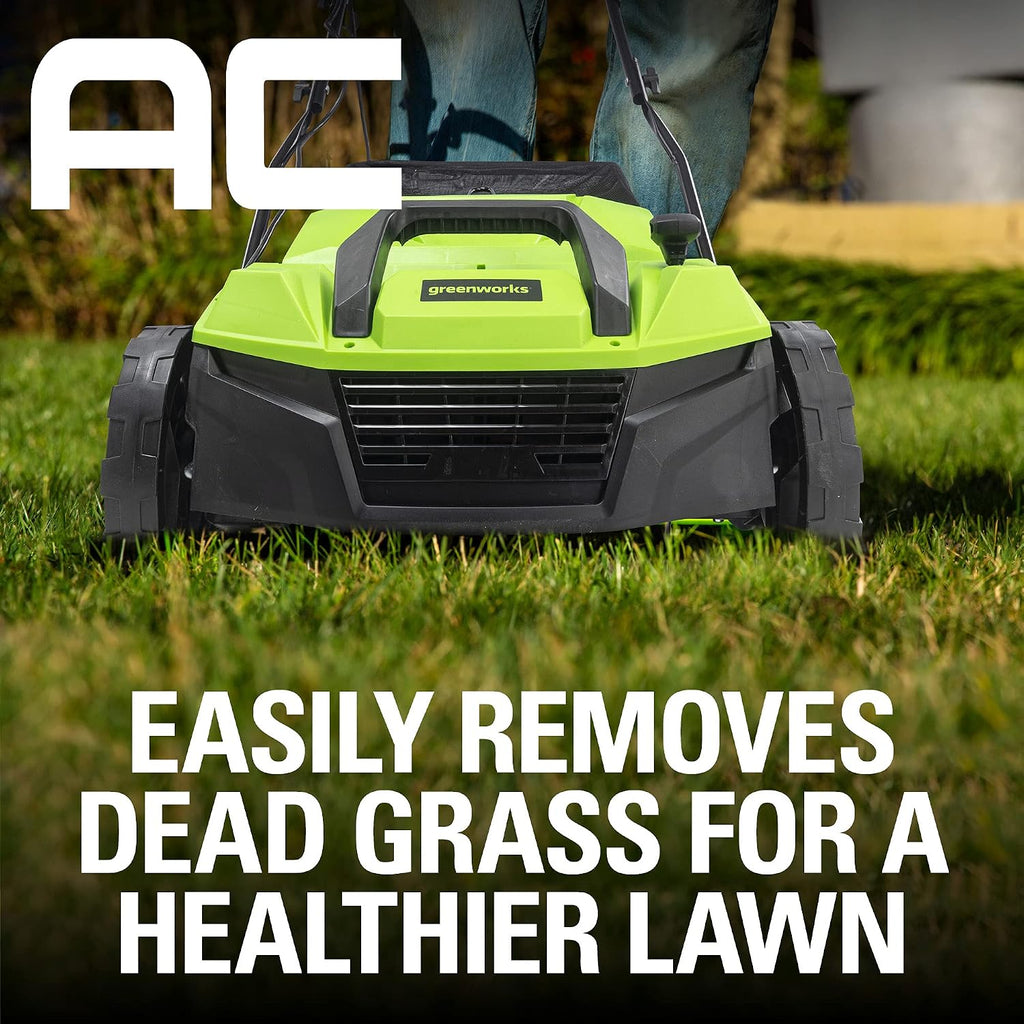 Greenworks 13 Amp 14-Inch Corded Dethatcher / Scarifier, DT13B00